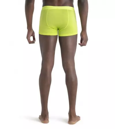 Icebreaker Anatomica Cool-Lite Trunks M's Summer 2024