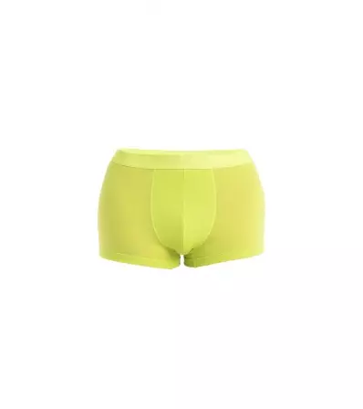 Icebreaker Anatomica Cool-Lite Trunks M's Summer 2024
