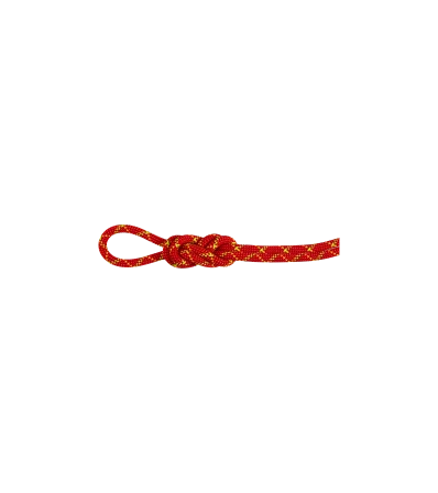 Mammut 8.0 Alpine Core Protect Dry Rope 50m Winter 2025