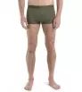 Icebreaker Anatomica Cool-Lite Trunks M's Summer 2024