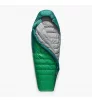 Sea to Summit Ascent -1C Down Sleeping Bag Regular Summer 2025